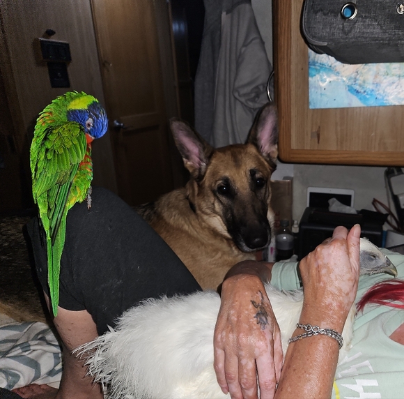 Meet your Posher, Thanh - Picture 3 of 10